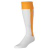 Two-In-One / 2-n-1 Stirrup Sock IN-STOCK (R) - SocksRock.com